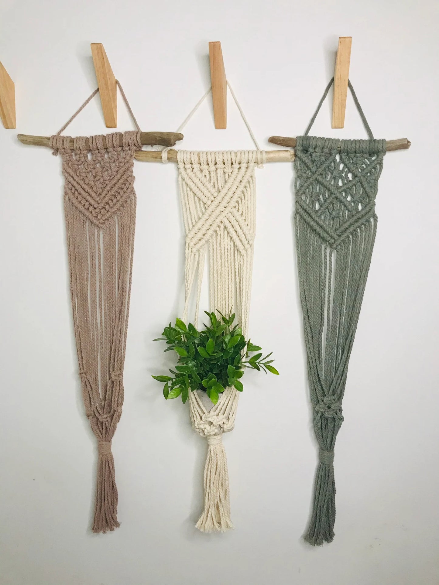 Driftwood Plant Hanger