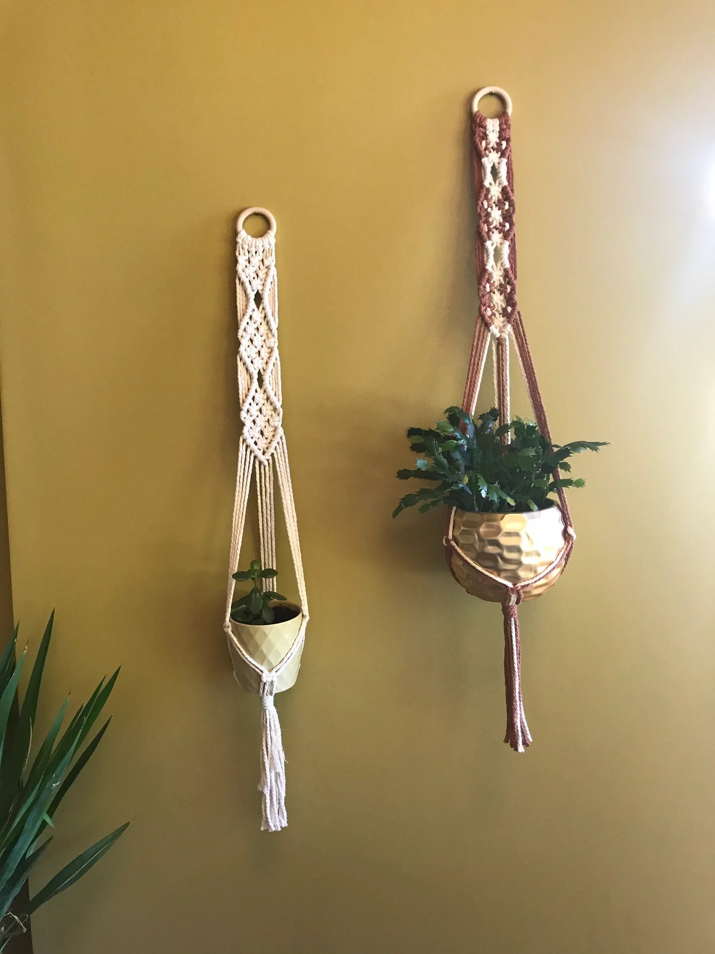 Boho Macramé Plant Hanger