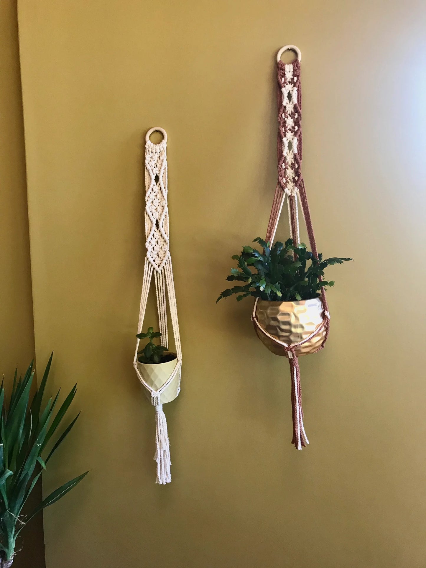 Boho Macramé Plant Hanger