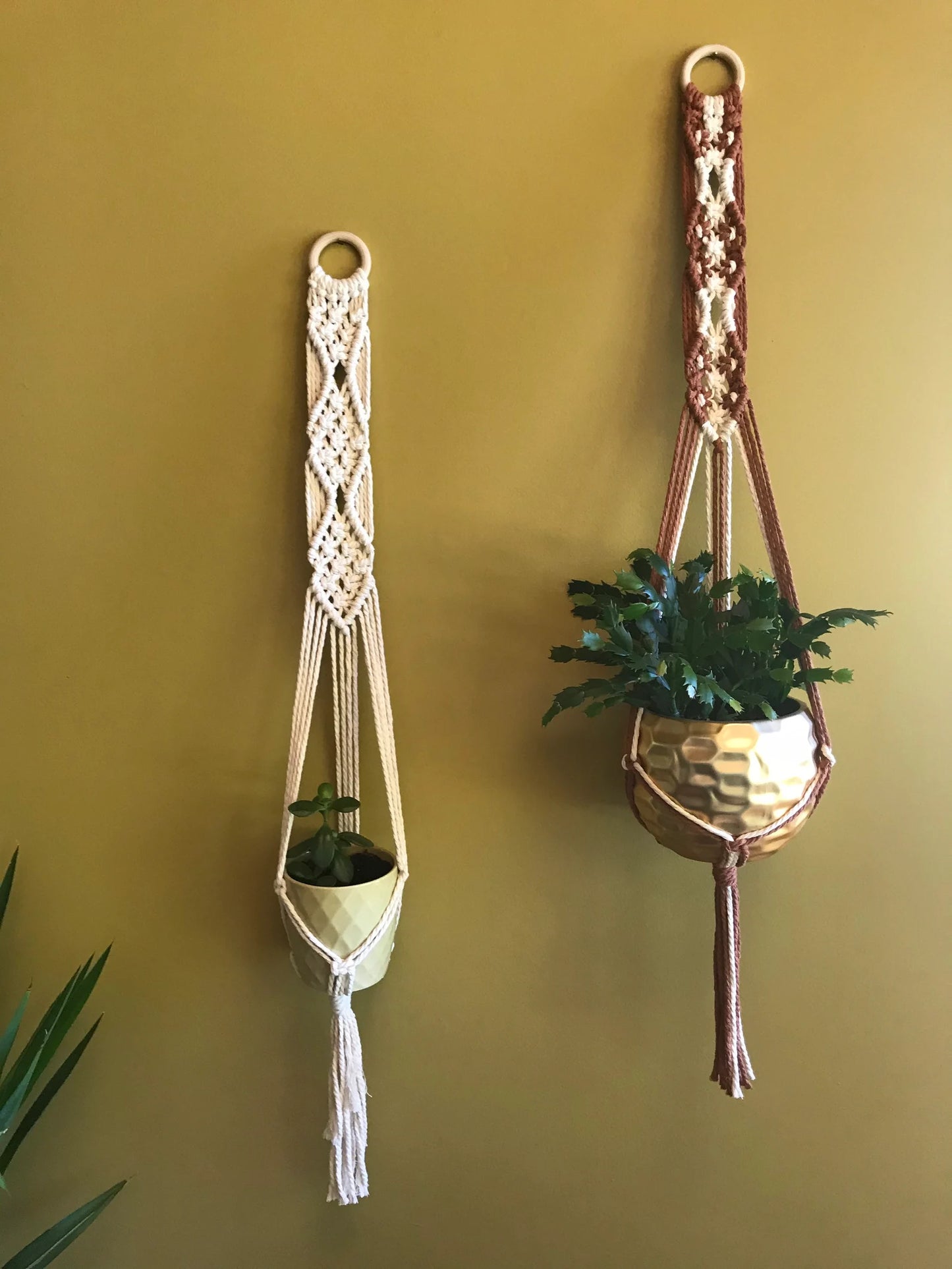 Boho Macramé Plant Hanger